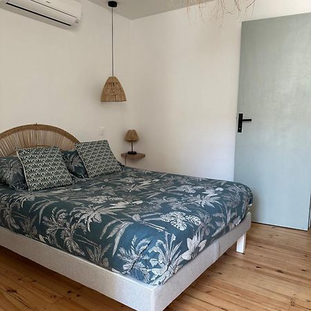 Agreable Petite Maison Au Coeur Du Minervois Villarzel-Cabardès エクステリア 写真